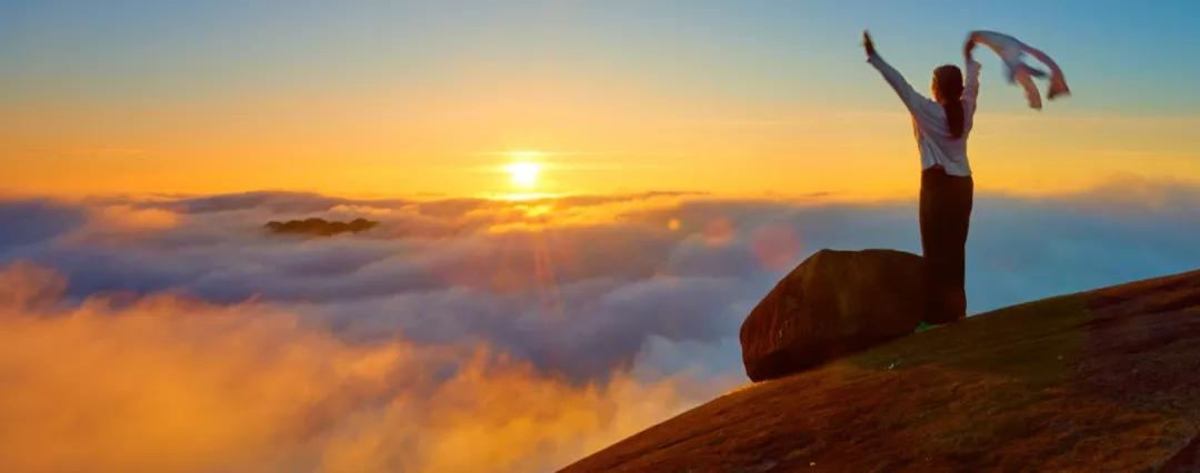 收藏全球公认的4大抗癌处方,癌症患者抗癌宝典图片