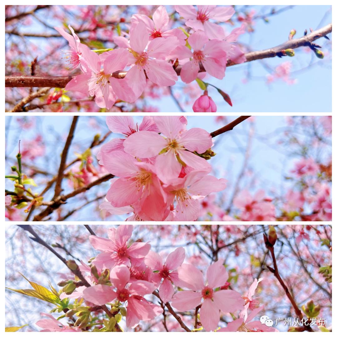 两人从化两天一夜游玩攻略,去从化玩的攻略