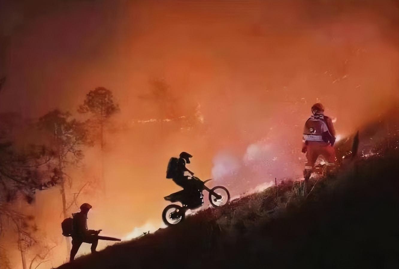 重庆龙麻子逆行者,重庆救火英雄龙麻子评论