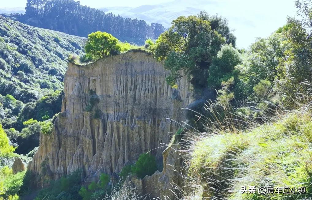 阿拉蕾的小镇、五元松果及其它——新手新车新西兰之十