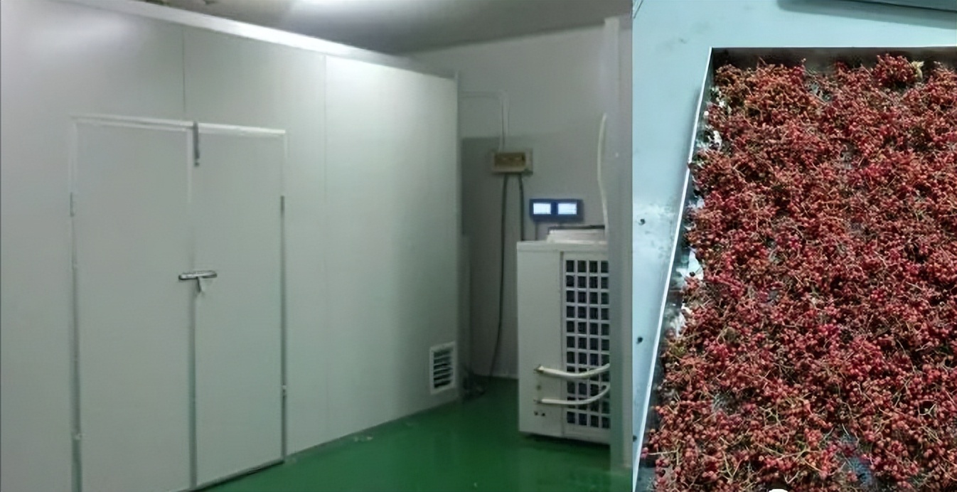 汉源花椒烘干,花椒烘干机制作教程图解