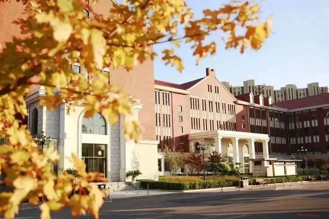 全球创新英才|北京人朝分实验学校李博洋专访