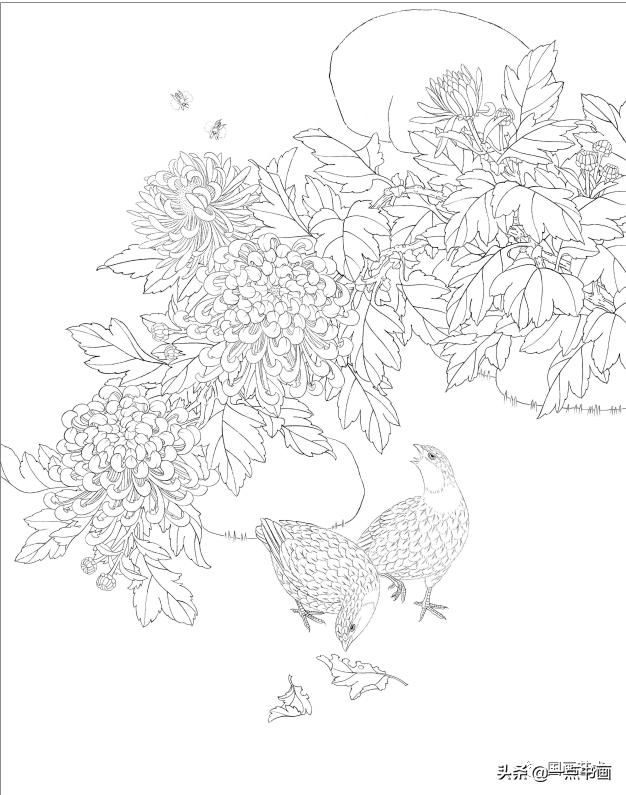 工笔国画花鸟鱼虫作品欣赏,工笔花鸟教学视频教程