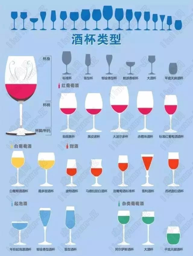 葡萄酒基础知识教程电子版,葡萄酒器具大全