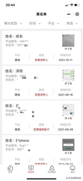 800元的布偶猫,800块钱宠物猫