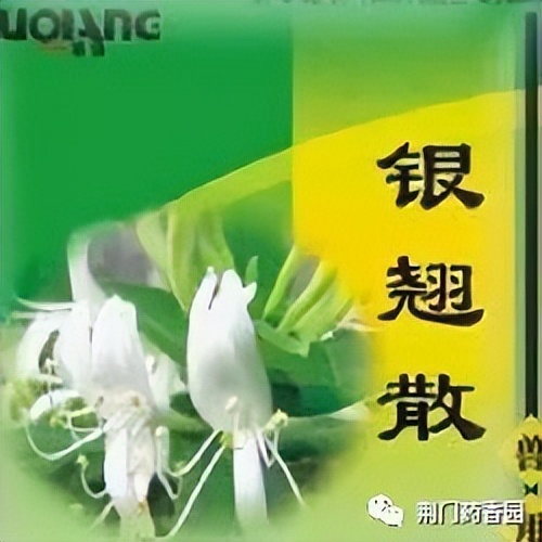 银翘散有什么功效,银翘散和玉屏风散