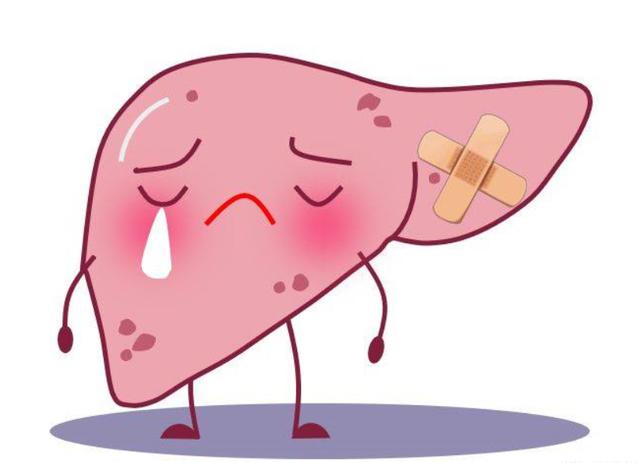 亲人有乙肝该怎么预防传染,咋样预防乙肝肝硬化被传染