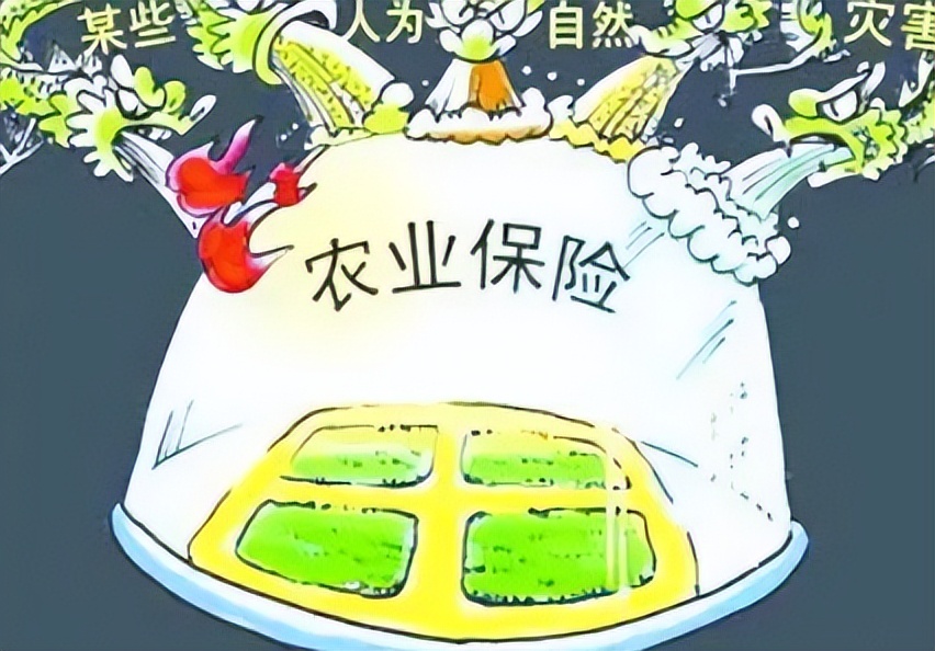 完善政策性农业保险机制,政策性农业保险对农业生产作用