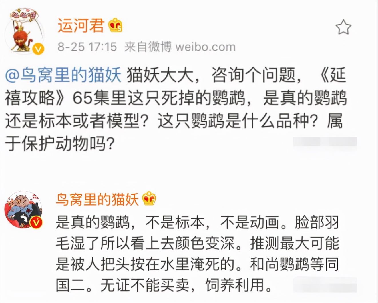 把马推下悬崖、炸死功勋犬，为了所谓的艺术，他们什么都干的出来