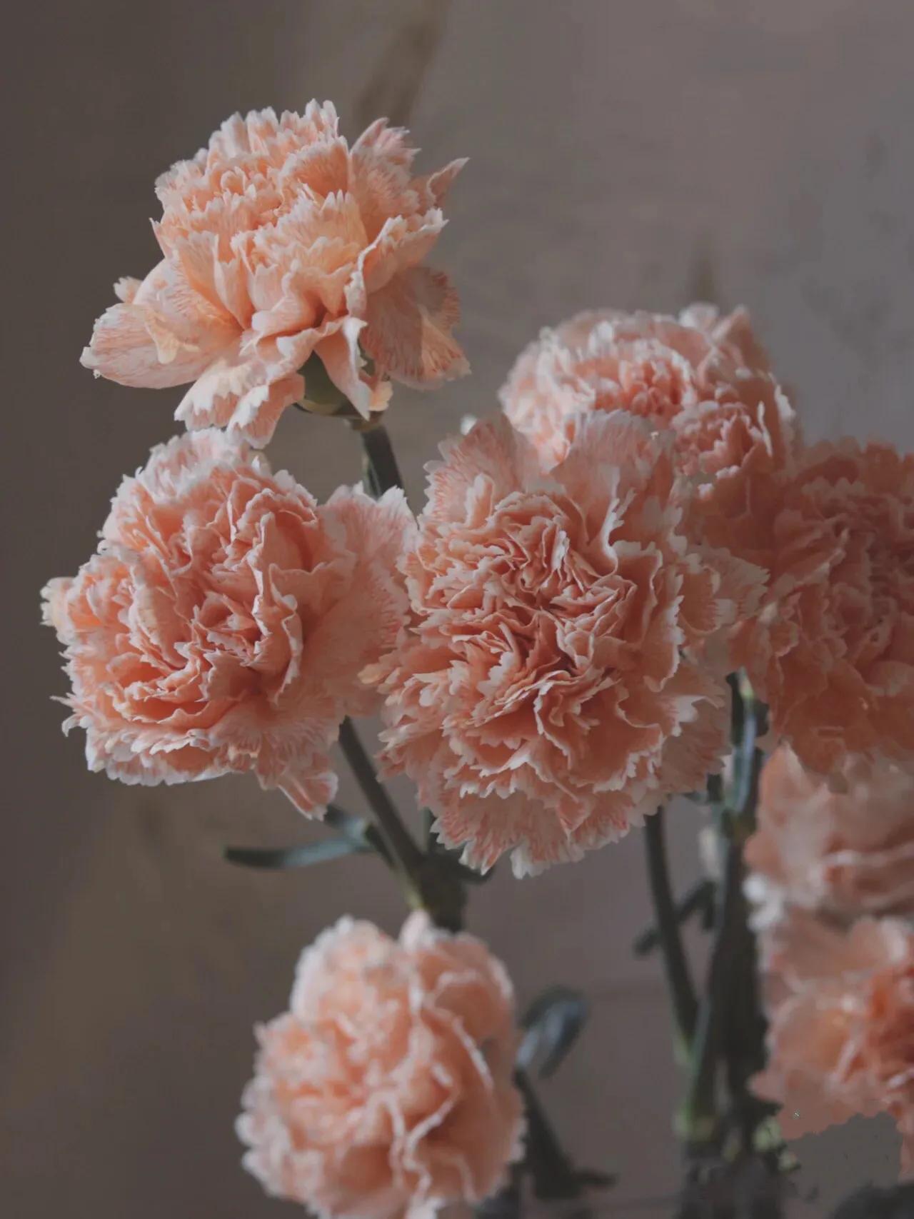 母亲节暖心文案给老婆,母亲节暖心文案