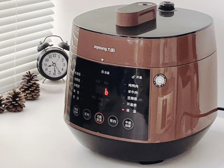 电压力锅推荐,电压力锅推荐质量性价比高