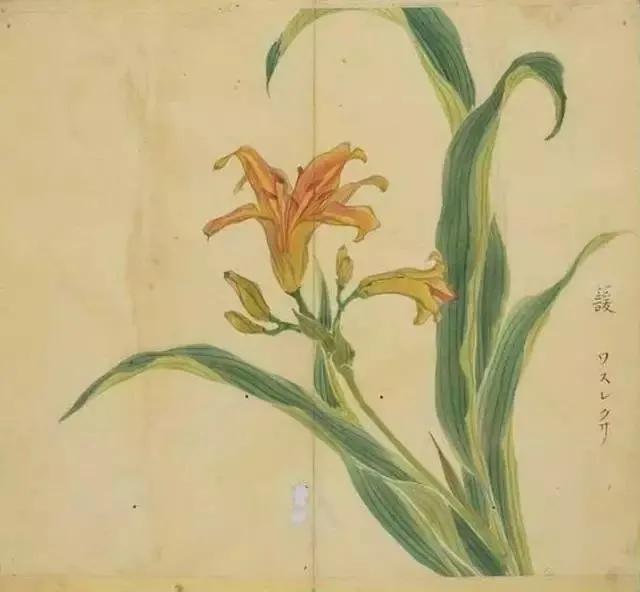 诗经秦风月出赏析,诗经陈风月出正确读音