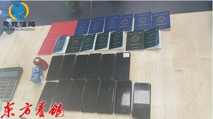 21年惠能秋棚决赛获奖鸽照片,慧能信鸽秋棚直播