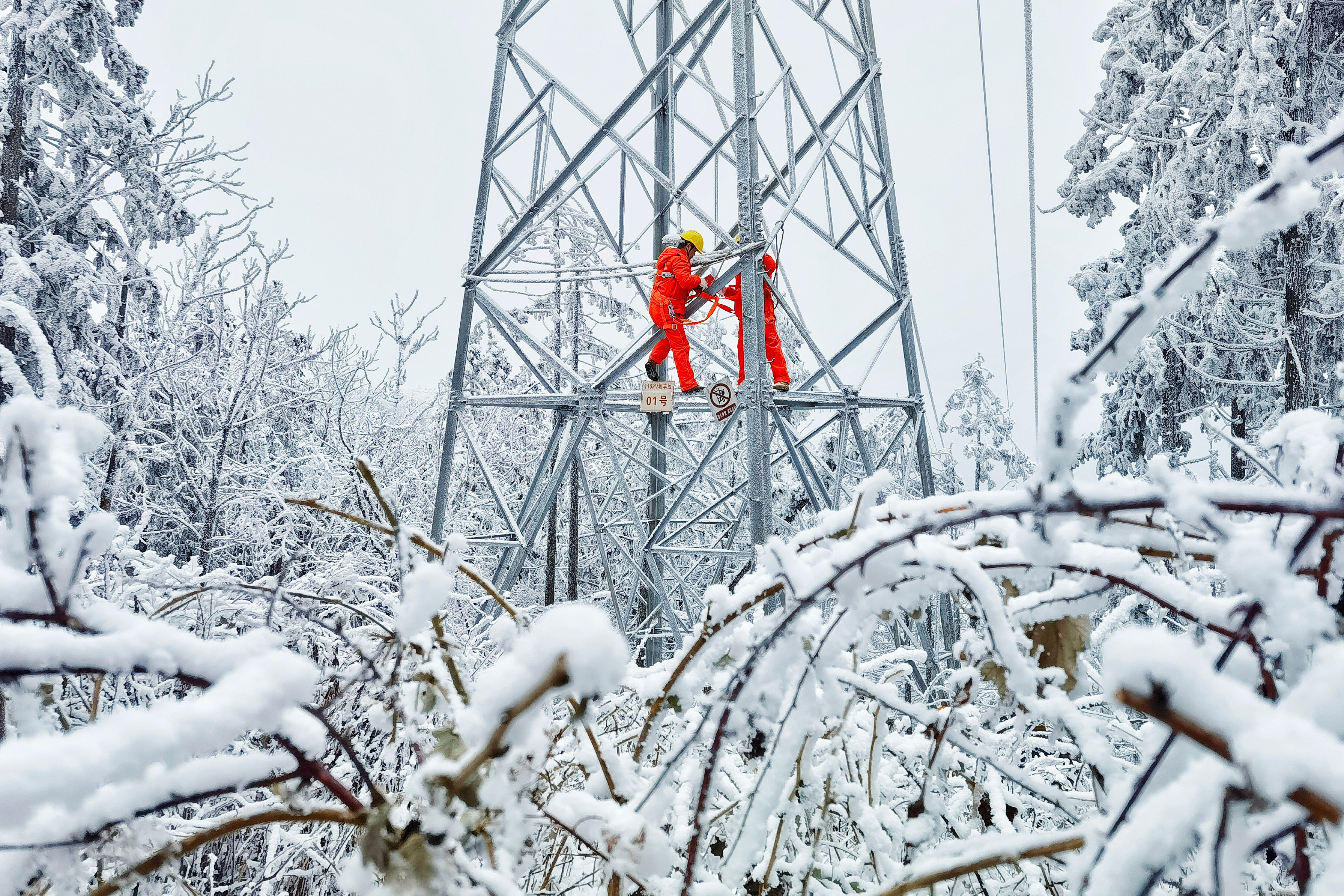 vivo2022摄影大赛,全国vivo手机摄影大赛