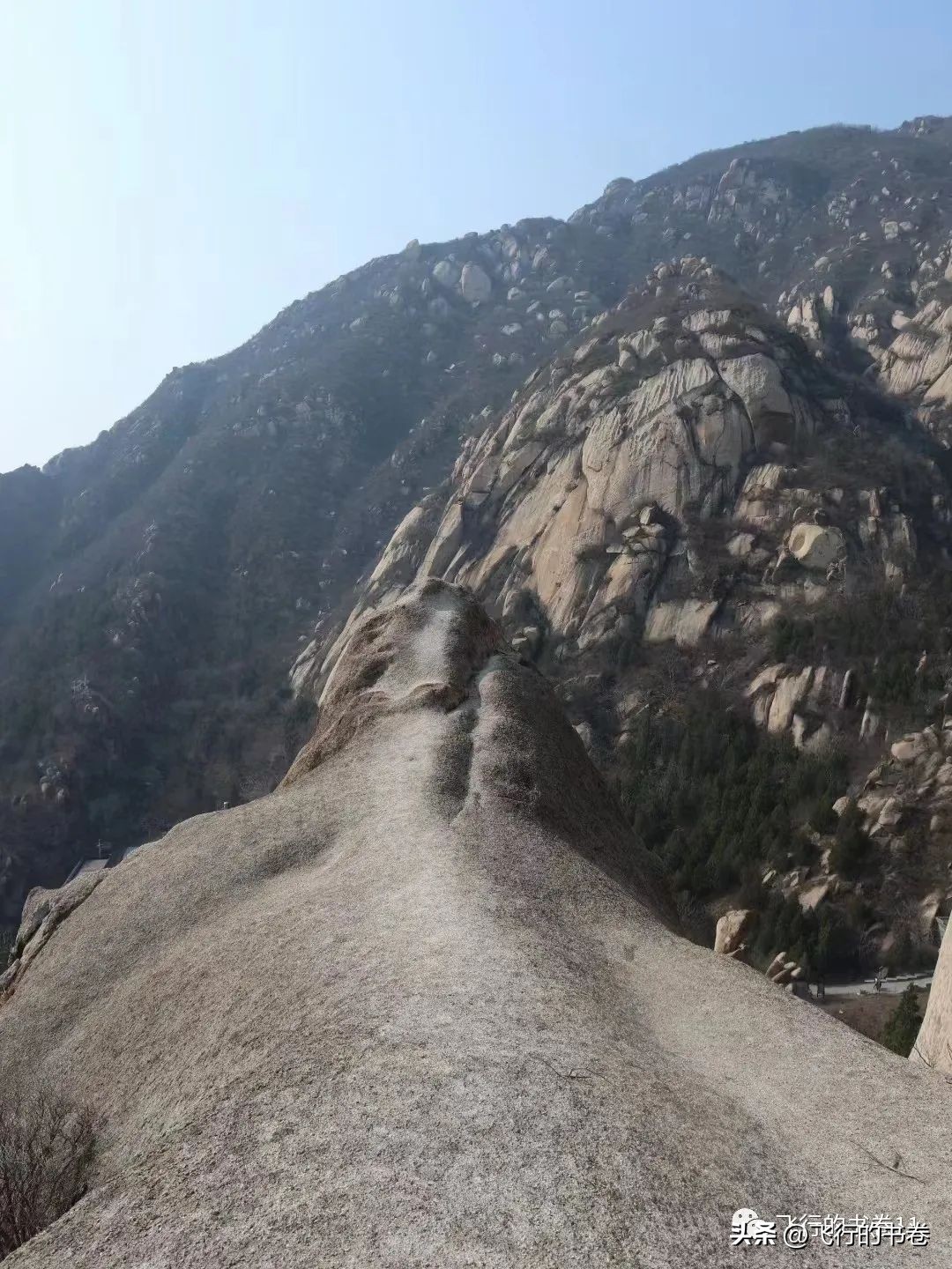 涅盘重生炒股实盘记录2020,11.11实盘炒股每日记录