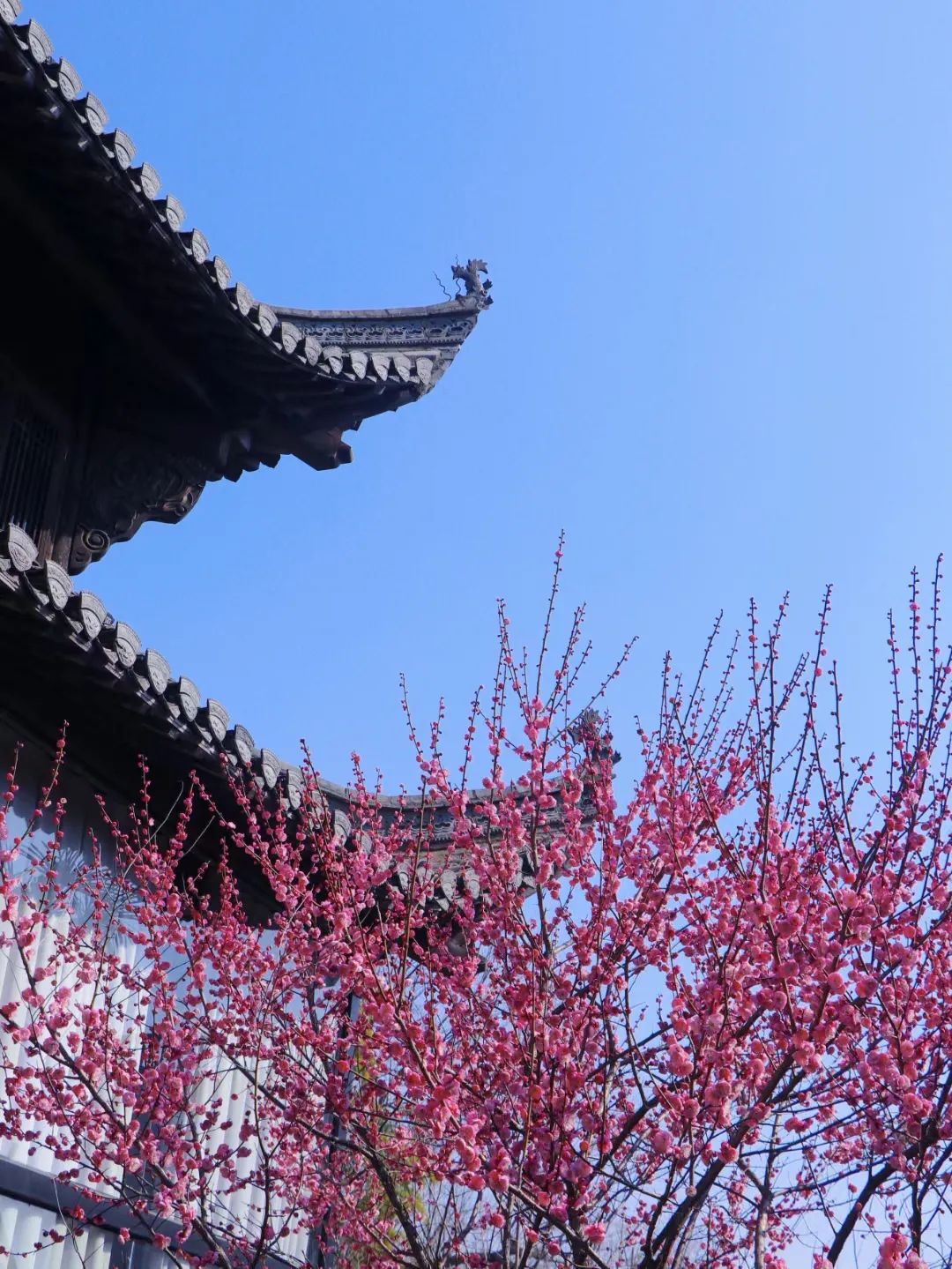 安徽黄山市旅游攻略推荐,黄山市夏季旅游线路攻略大全最新