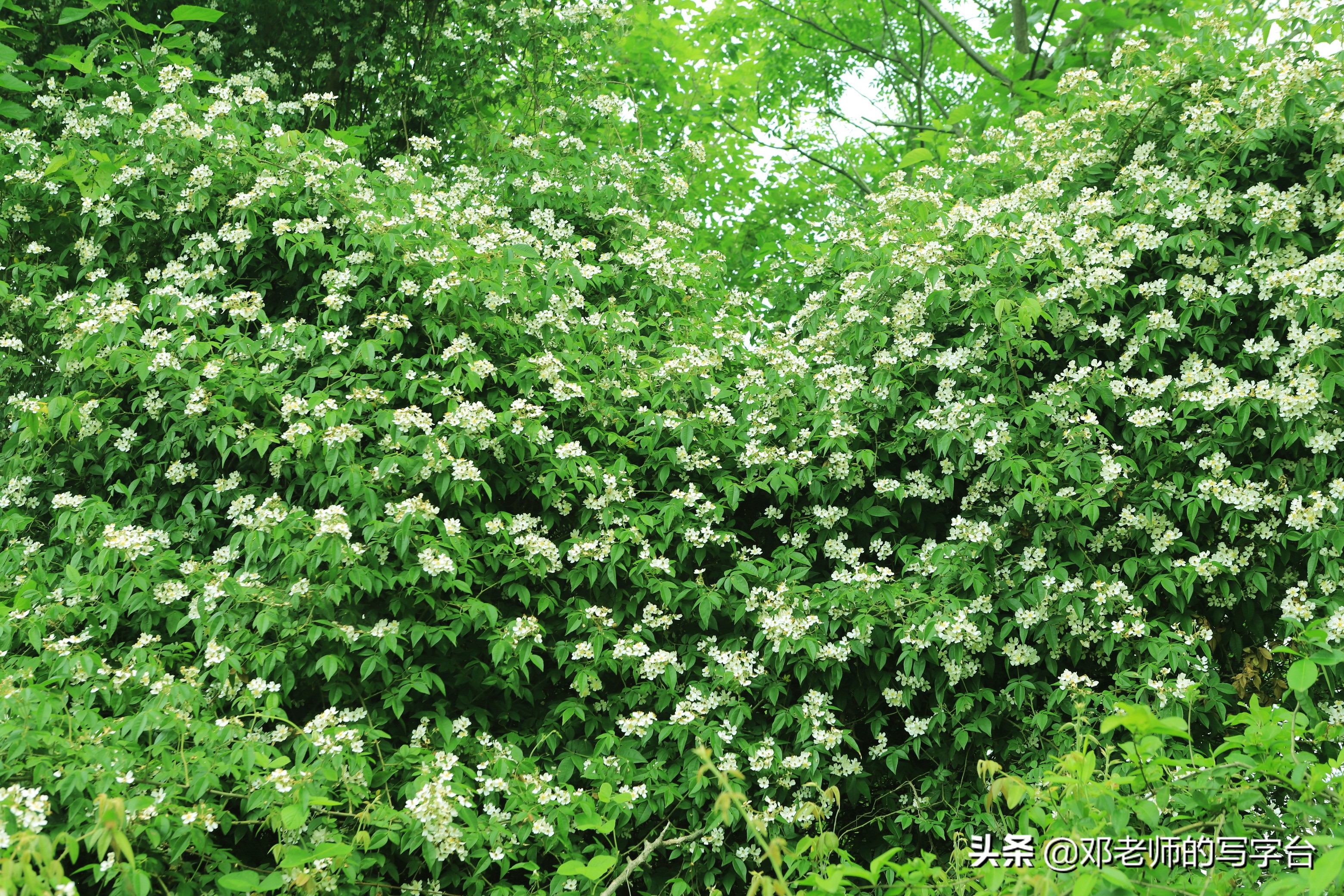 水底山徒步攻略,滑石冲美人谷徒步路线