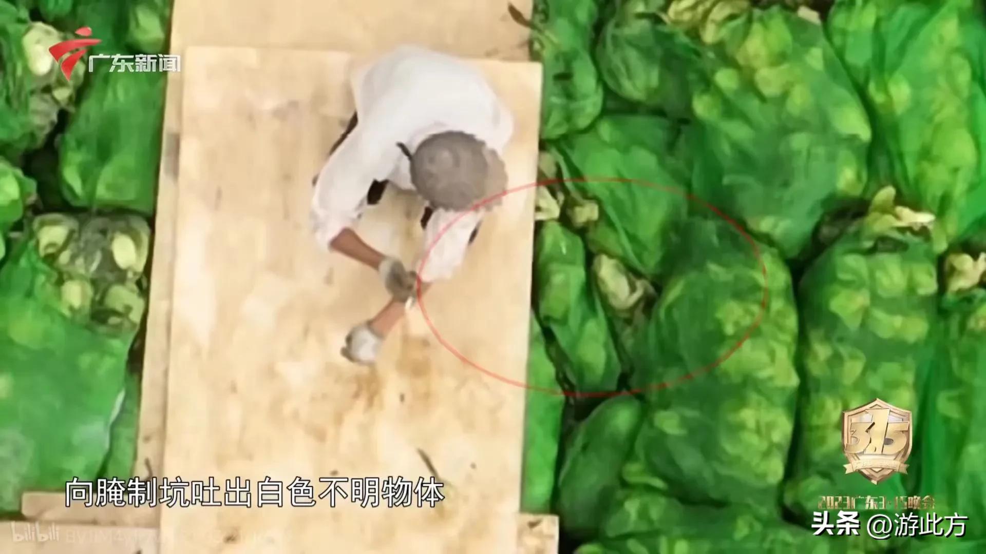 315黑心橄榄菜曝光视频,央视315曝光不合格橄榄菜