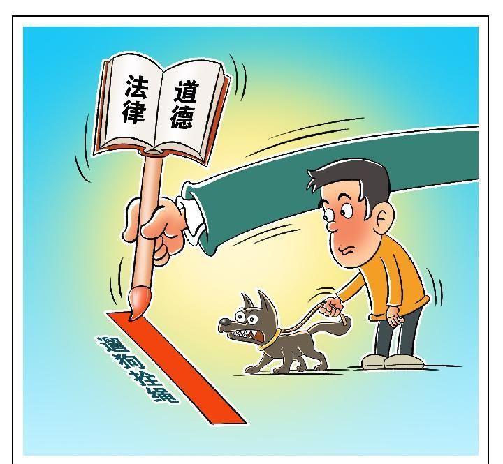 轻松筹真的可以筹到钱吗,轻松筹捐款有风险吗