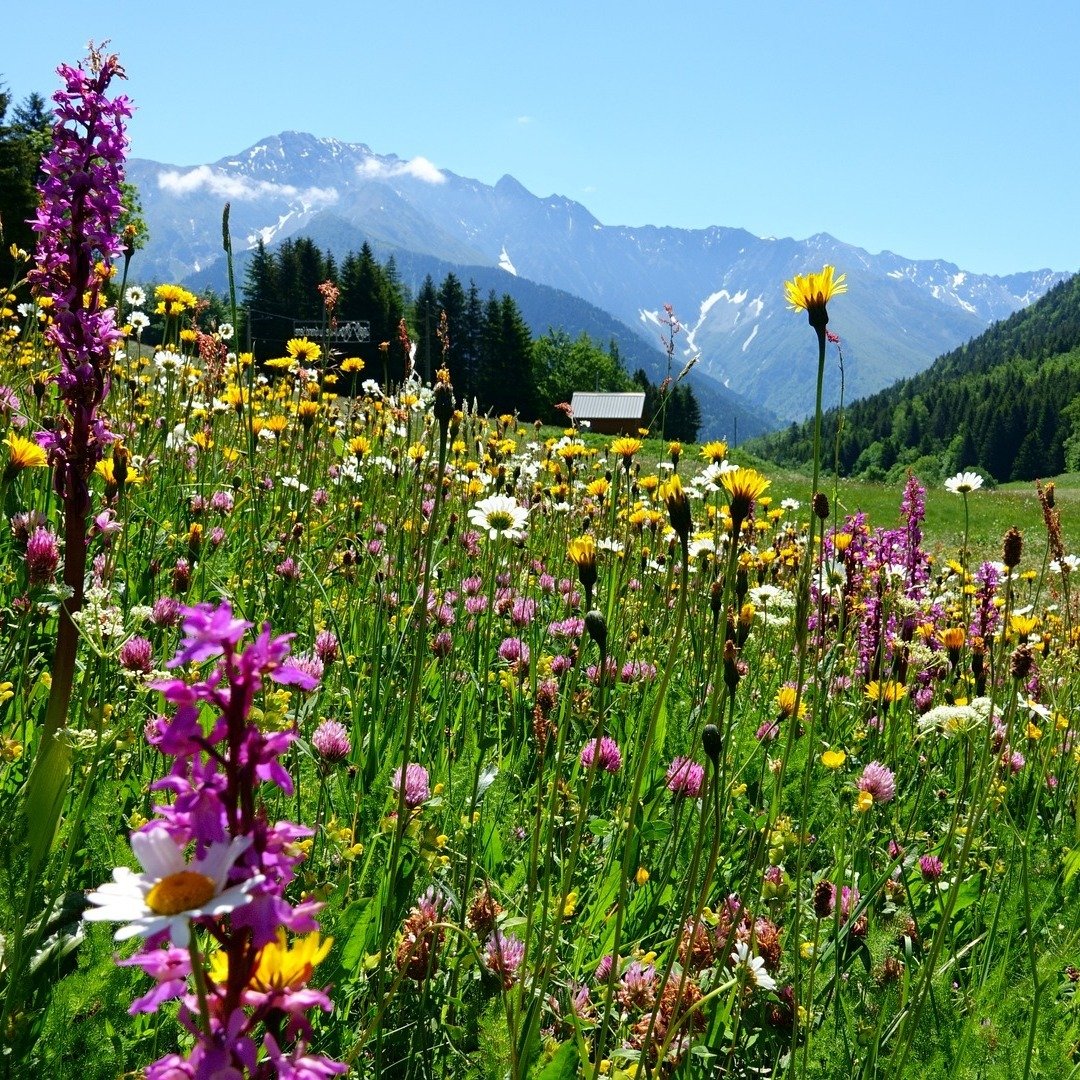 中国的问题实在太复杂了