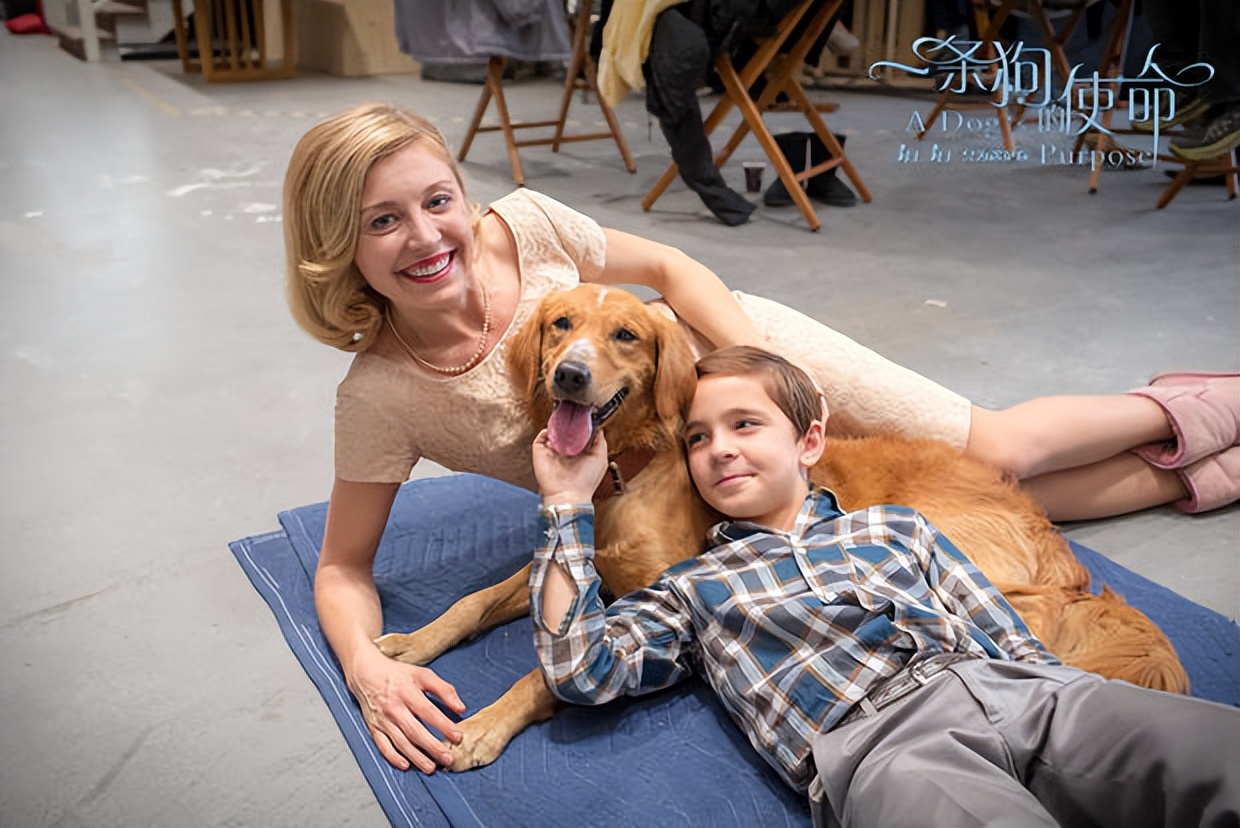 聪明的贝利，表明了动物与人之间的羁绊，表明动物也是有生命的