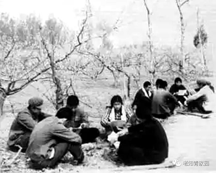 北大荒知青生活叙事诗——北大荒“游击词”100篇