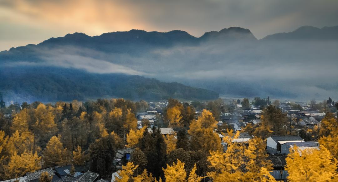 银杏谷泡温泉的地方,广东冬天赏银杏泡温泉