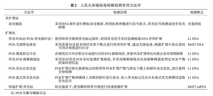 宫颈癌筛查人乳头瘤病毒阴性,人乳头瘤病毒就是宫颈癌筛查吗
