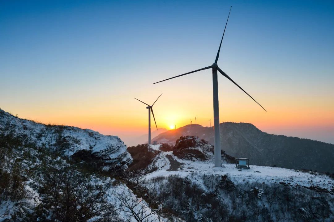 到咸宁看国宝过大年,离家45年的国宝回湖北咸宁过年