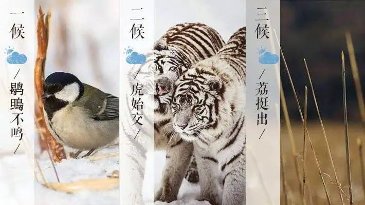 今日大雪如何养生防病,今日大雪养生注意事项