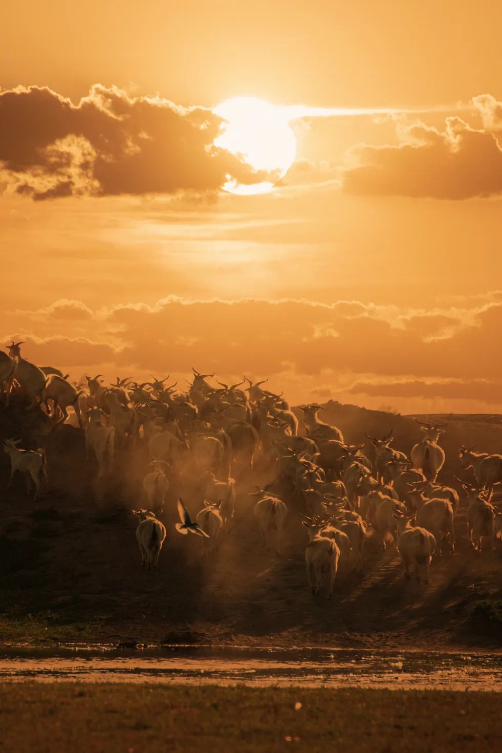 什么鬼城市,煤炭鬼城