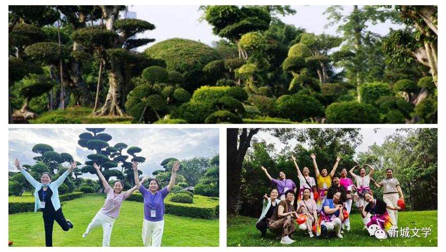 南宁名树博览园旅游攻略,巴马旅行