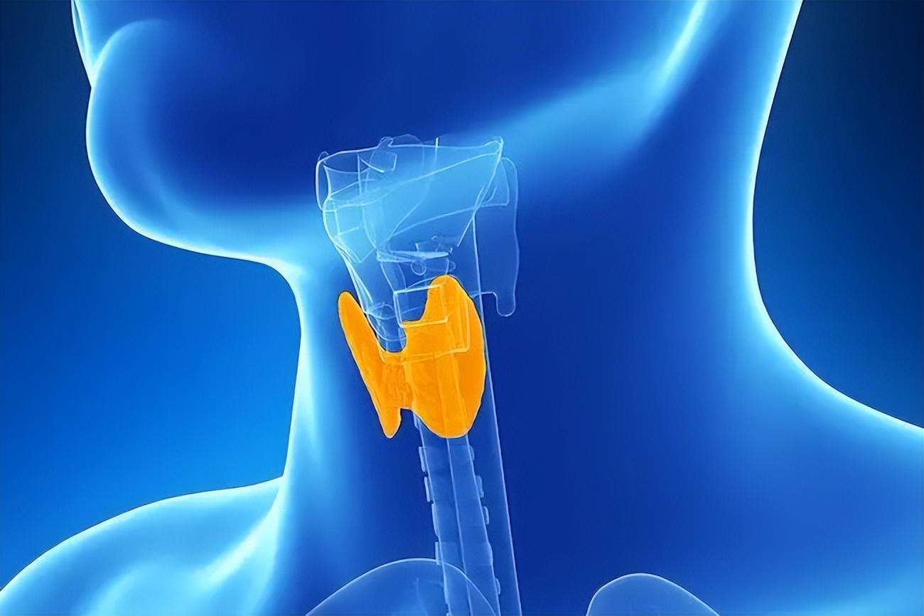 甲减导致的衰老还能好吗,每天感觉很累是甲减的问题吗