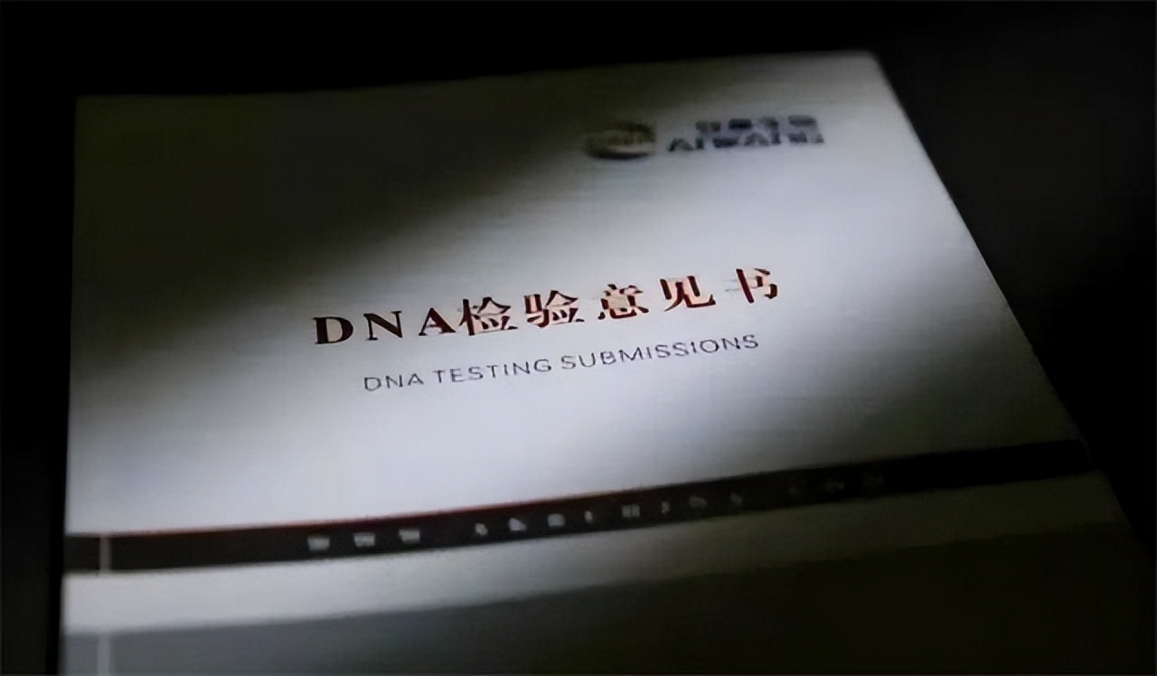 dna鉴定为何成为婚姻粉碎机,毁三观的dna鉴定