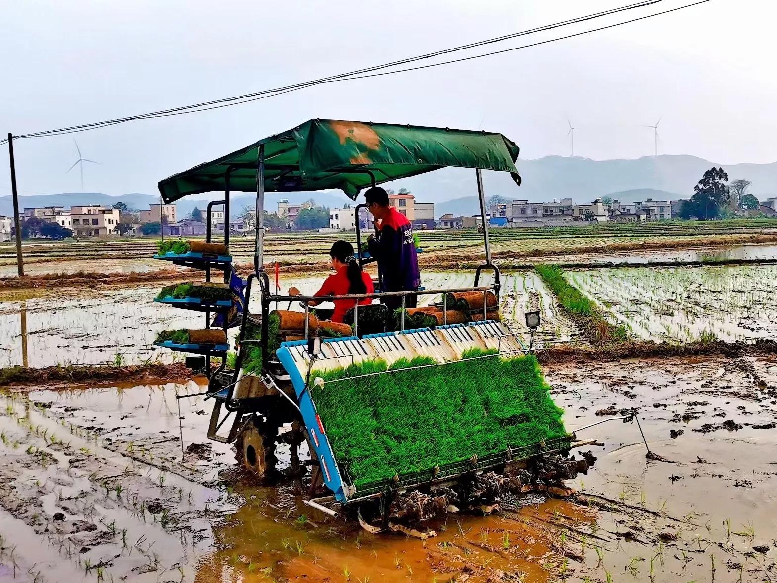 农联助力乡村振兴,联农助农乡村振兴