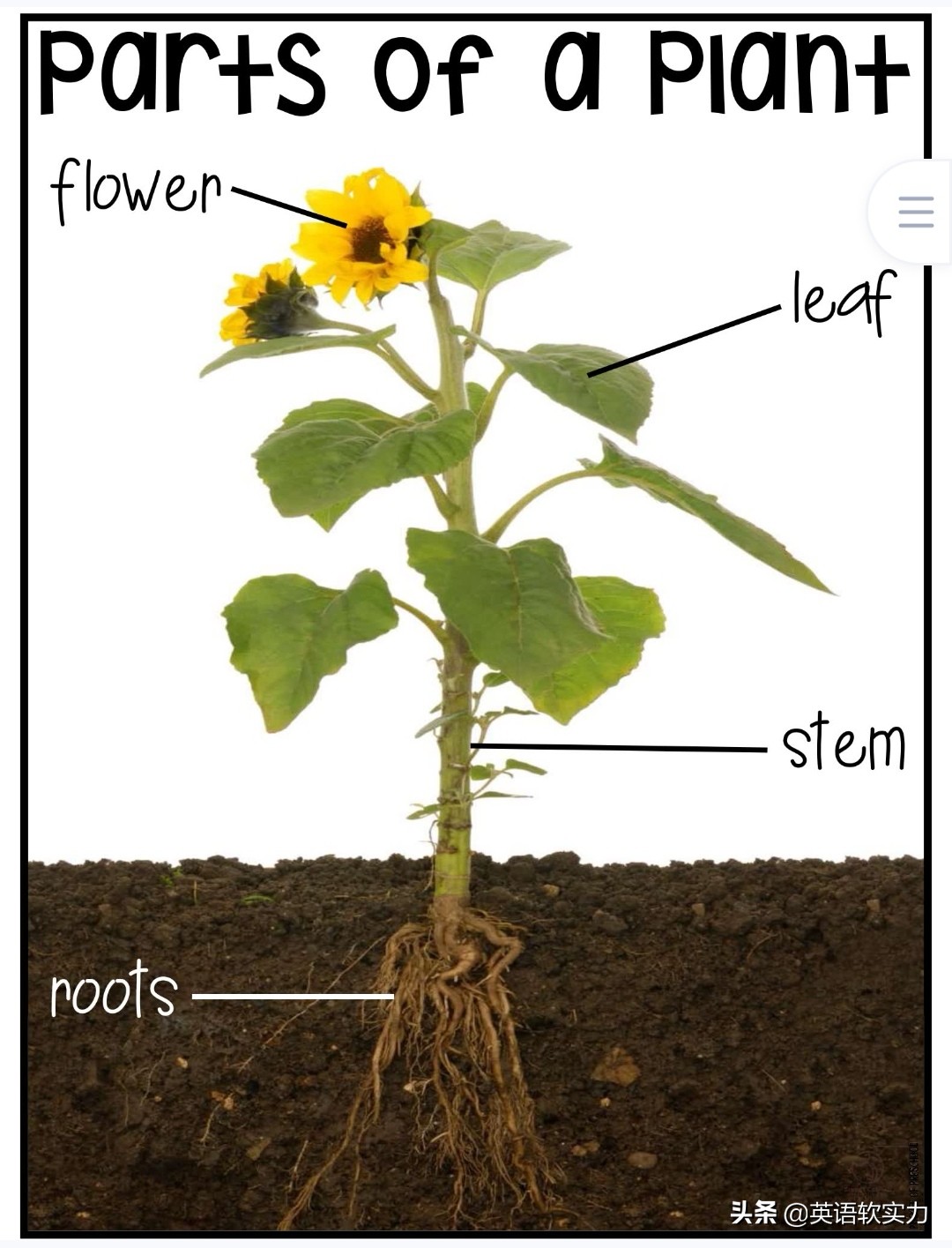 幼儿英语启蒙创意,儿童英语有趣早教