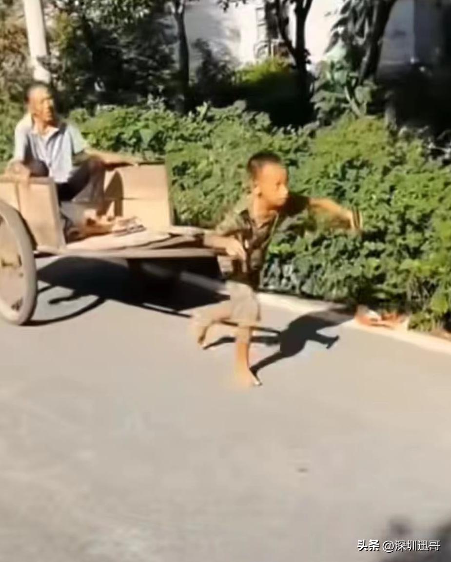 农民背后的辛酸和感悟,我们农民都有哪些靠谱的出路