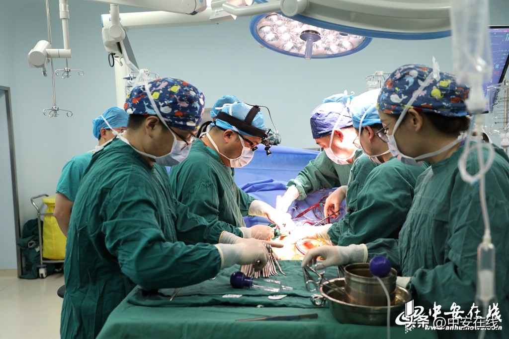 生命接力温暖传递,生命接力传递正能量