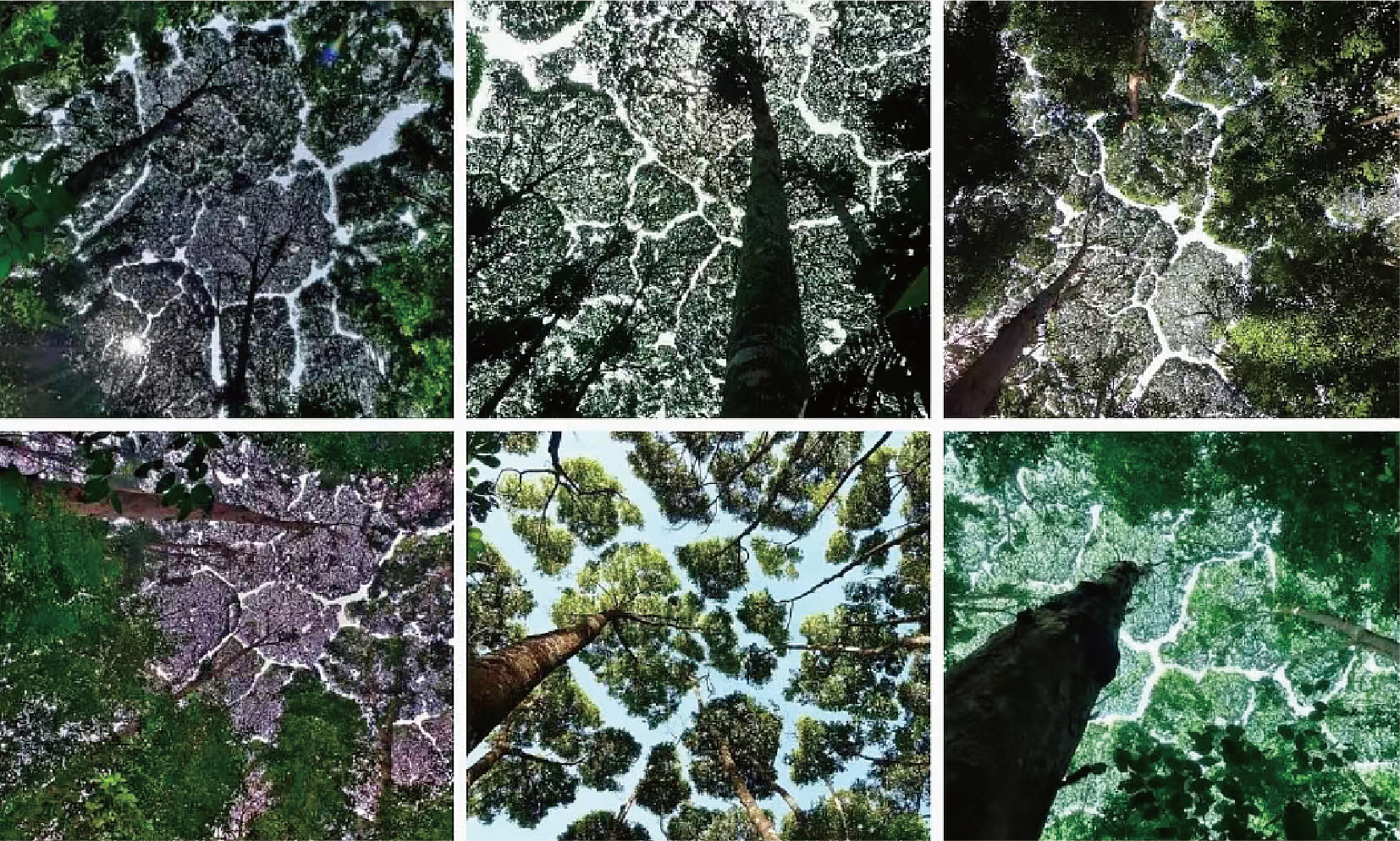 餐饮经营心法分析,餐饮一年运营分析