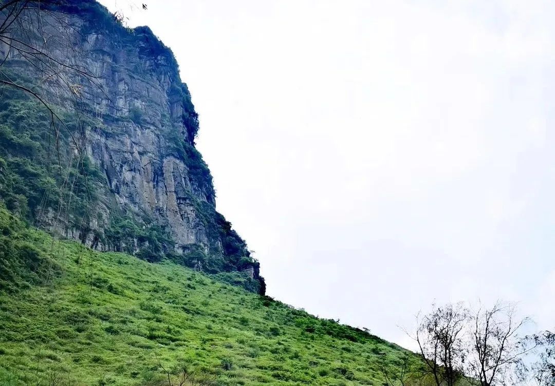 南川区金佛山旅游攻略,南川金佛山一日自驾游攻略
