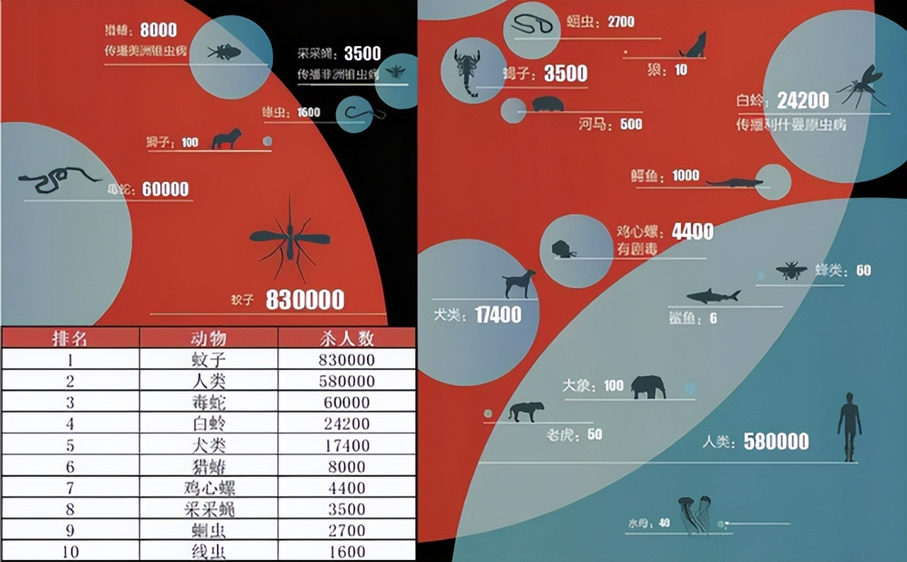 花蚊子为何令人们闻风丧胆,带毒的花蚊子从哪里来