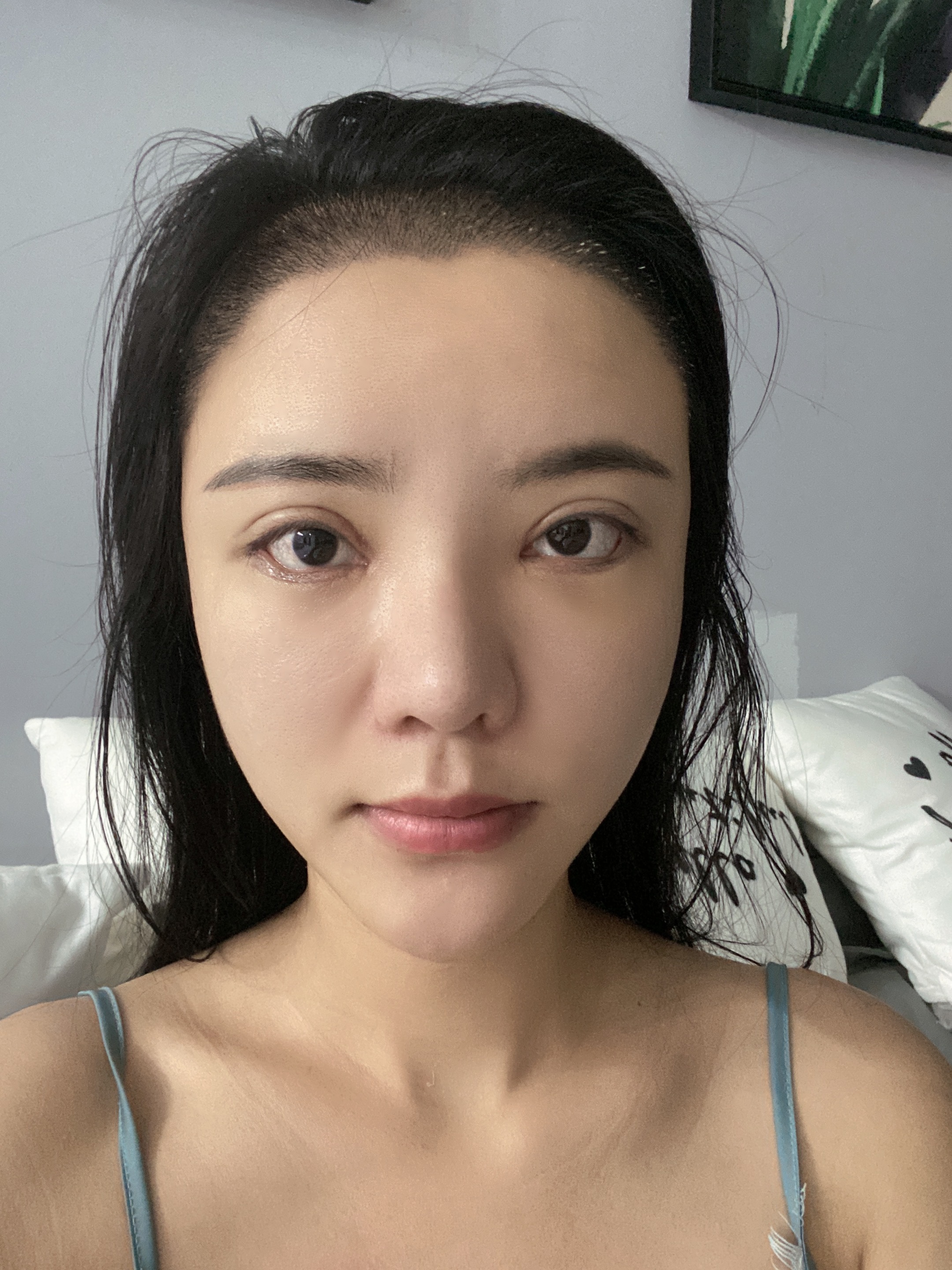 恒美植,成都恒美植