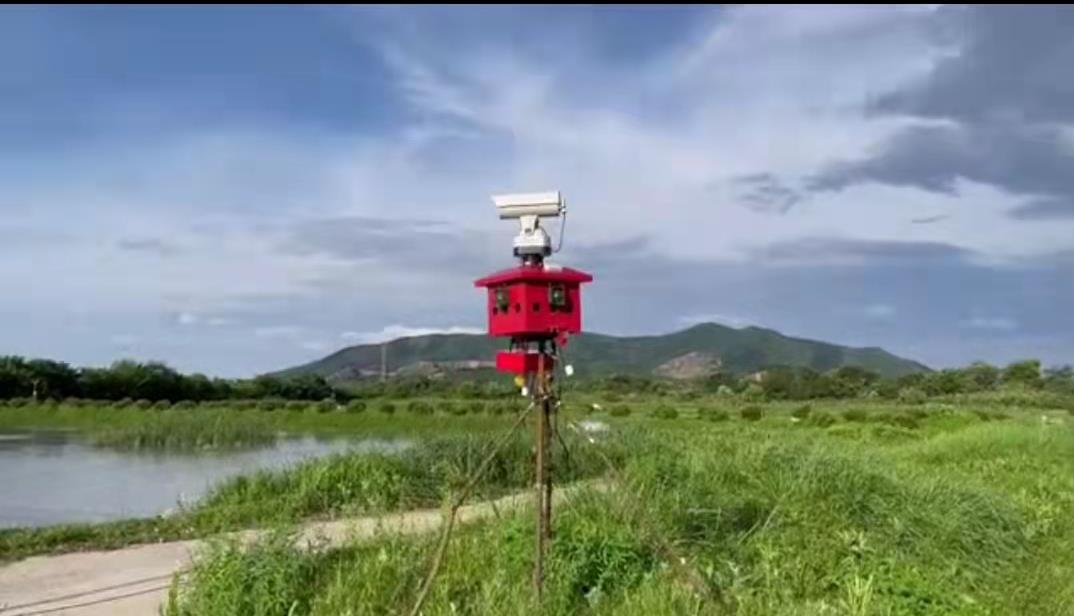 鱼塘几千斤鱼神秘消失,鱼塘数千条鱼神秘消失