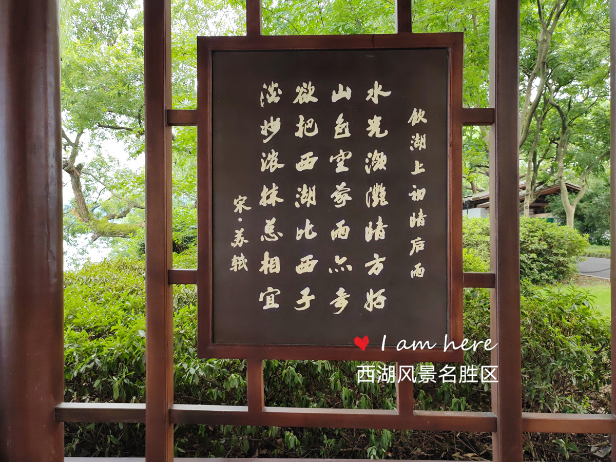 荣耀70评测：颜值才华兼备，旗舰IMX800要你好看，五星好“屏”