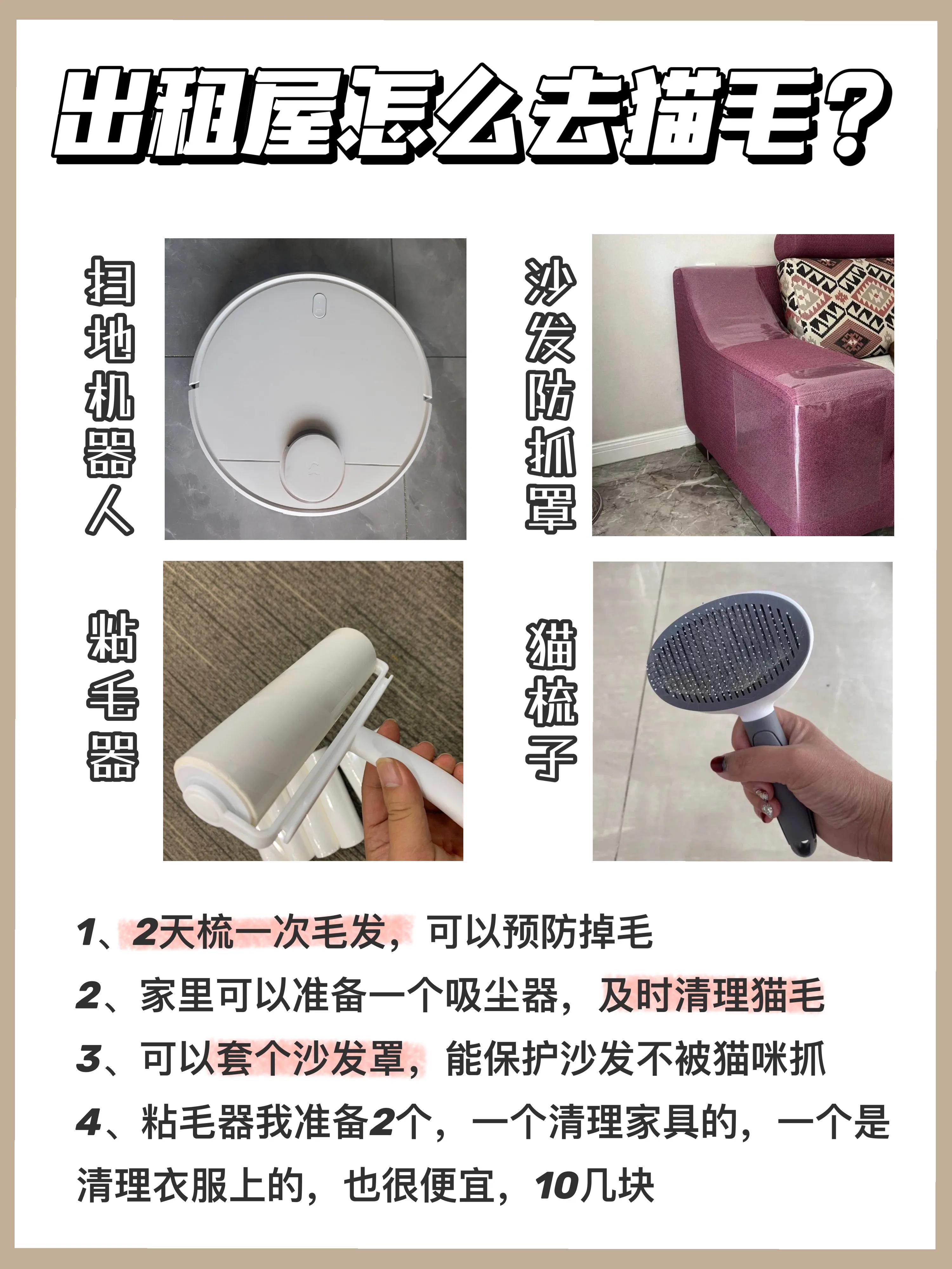 租房养猫除猫毛,猫居家养要驱虫吗