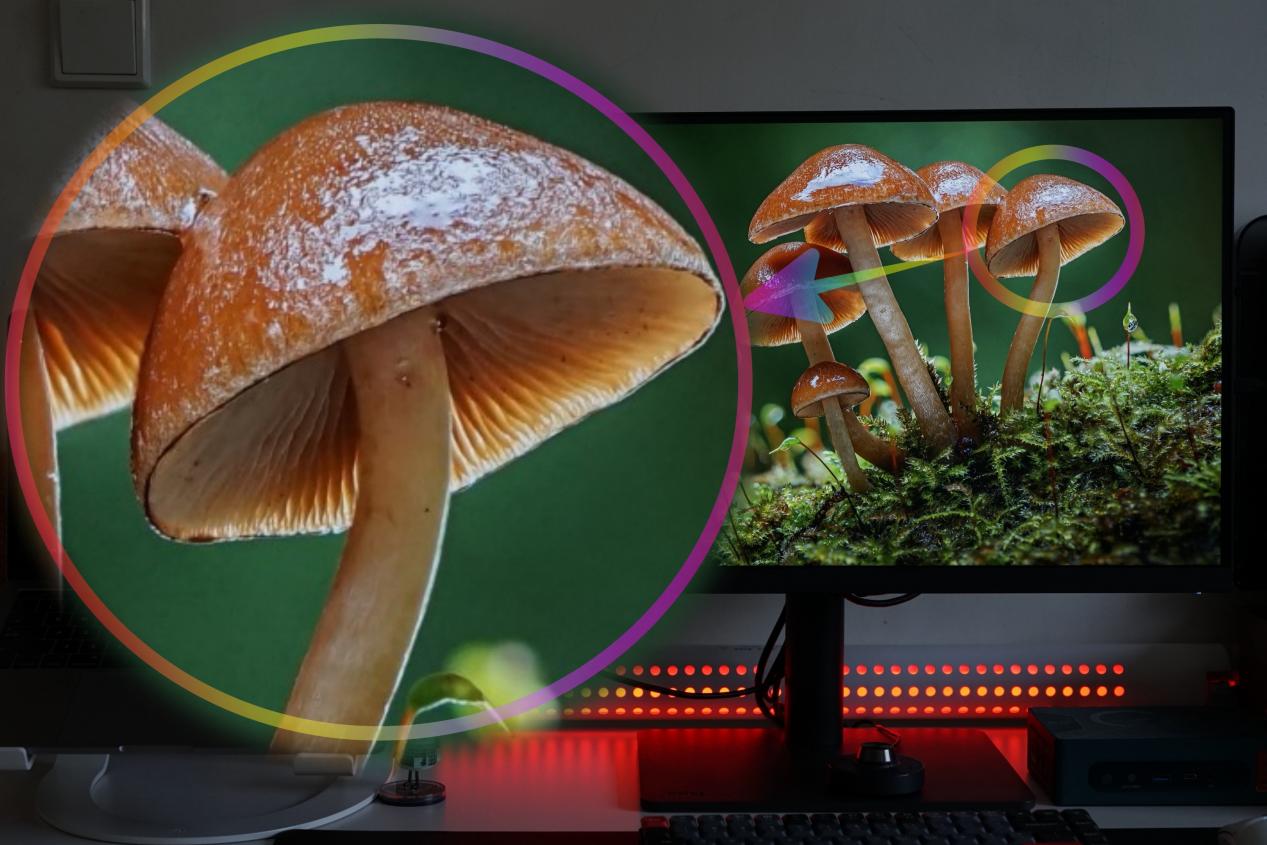 明基pd2705q显示器27英寸2k够用吗,明基pd2706u后期色准显示器测评