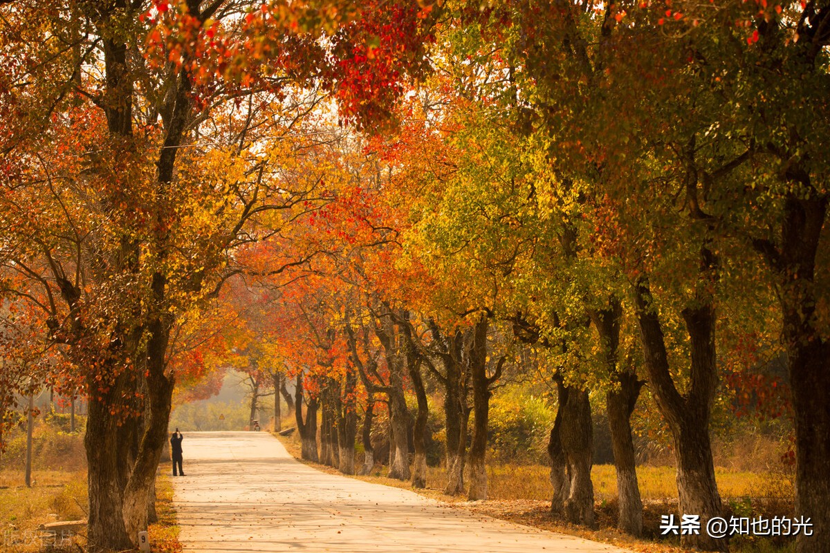 马云:未来已来(二)今天很困难明天更困难后天很美好