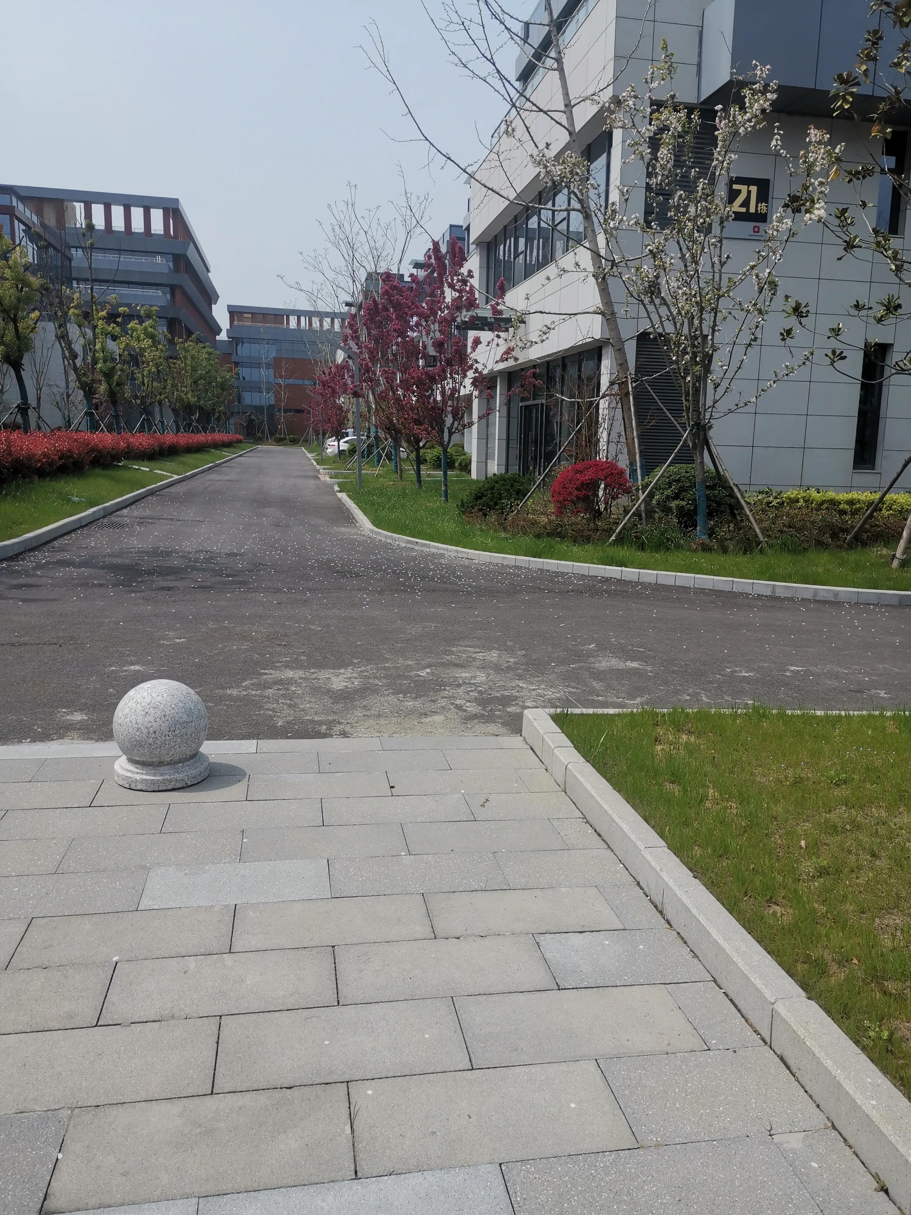 安徽皖北如何发展,安徽皖北农村变化