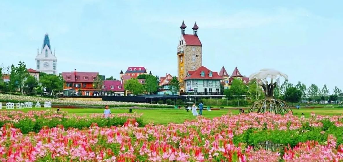 白钟元武汉美食篇,韩国美食家白钟元吃中国菜