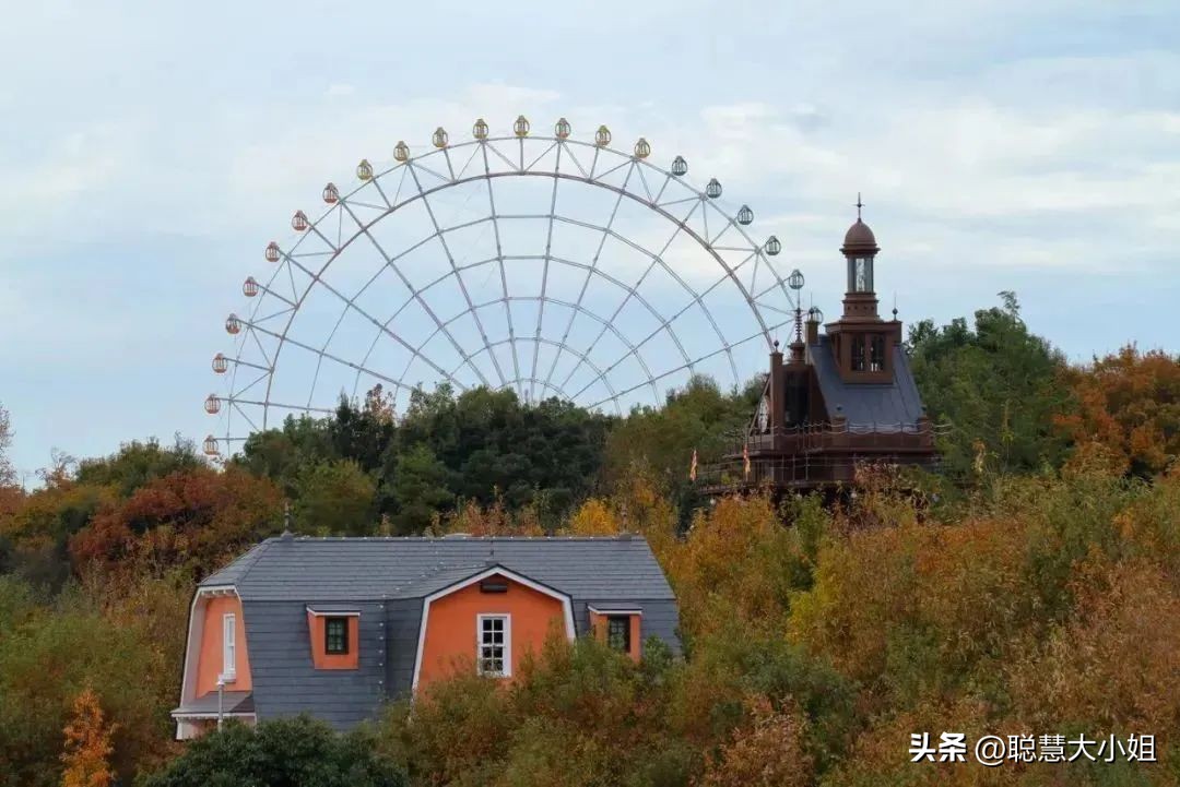 宫崎骏三鹰美术馆完整版,三鹰之森宫崎骏第二弹图鉴